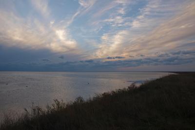 Прикрепленное изображение: PA167903_web.jpg